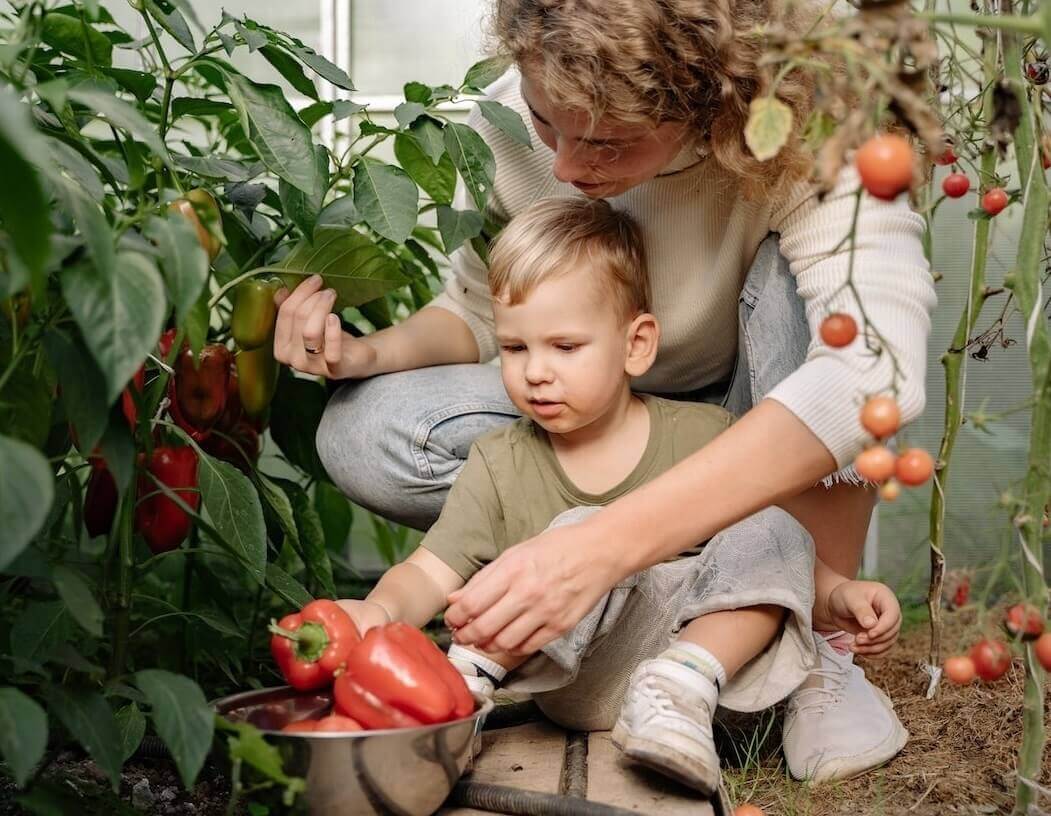 Dominus Vobiscum Foundation