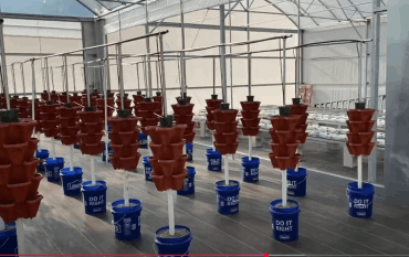 Dominus Vobiscum Foundation