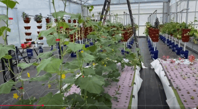 Dominus Vobiscum Foundation